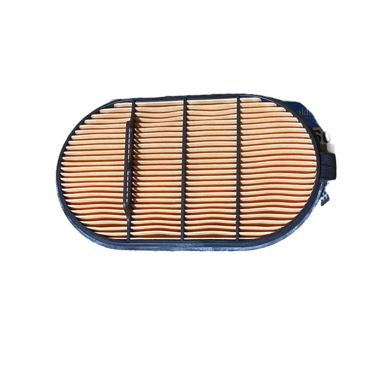 Donaldson, P601560, Air Filter, Safety, Obround