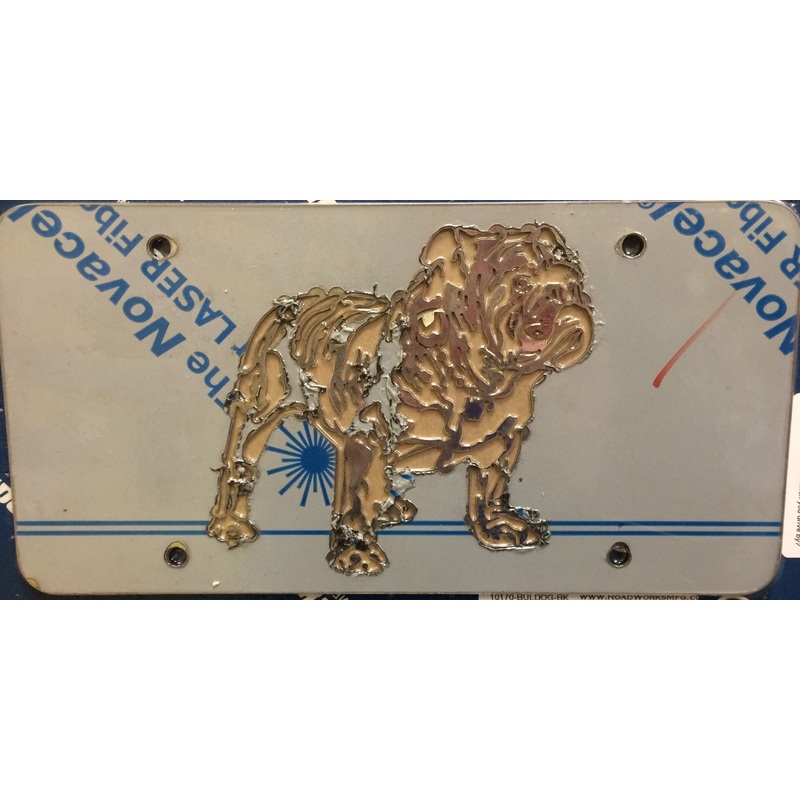 Bulldog stainless steel license plate with black background
