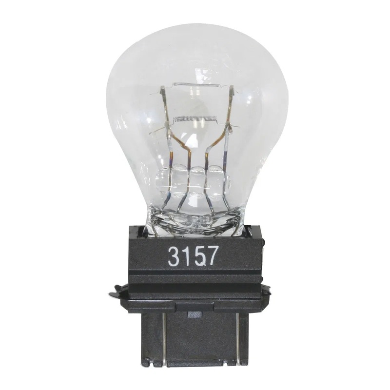 #3157 Clear glass incandescent light bulb – PAIR