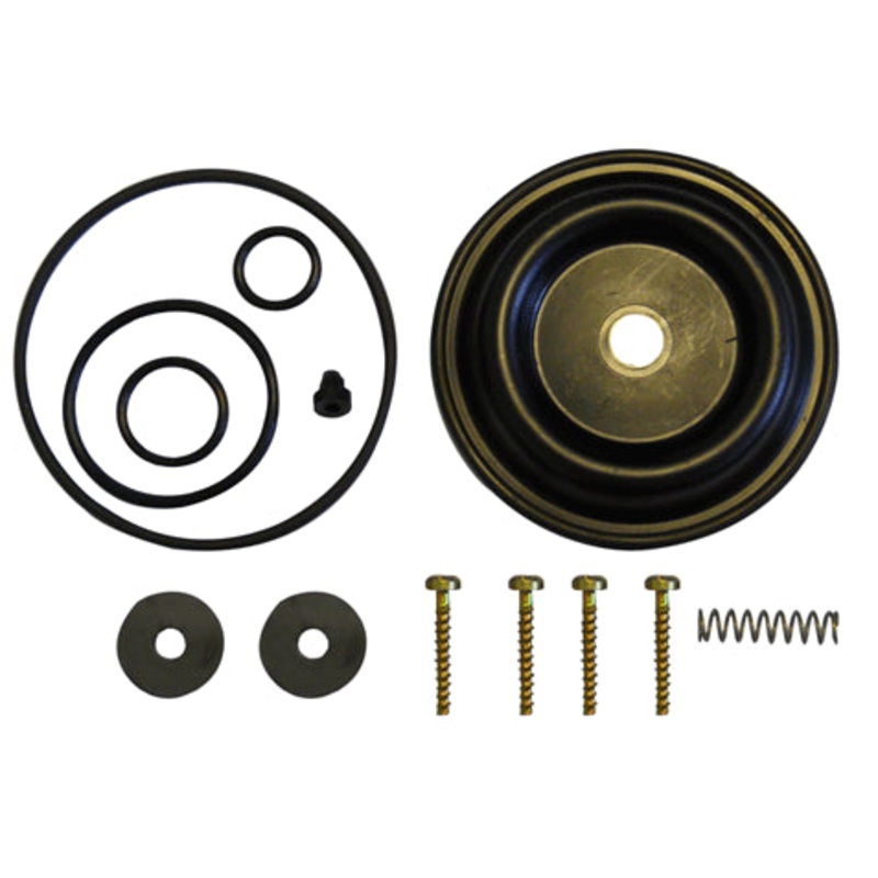 DIAPHRAGM PUMP REPAIR KIT