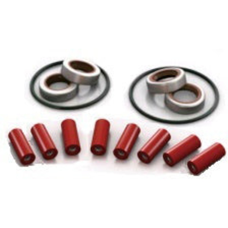 REPAIR KIT FOR 8800 PUMP, INCLUDES 8 ULTRA ROLLERS, LIP SEALS,(VITON) SEAL RINGS