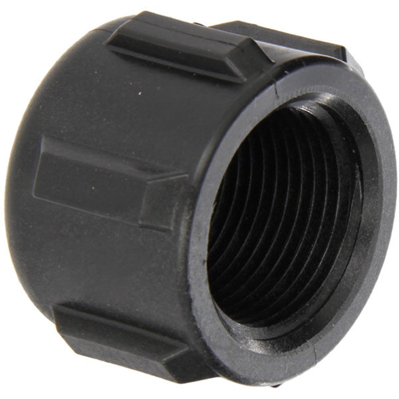 1 INCH FNPT  POLY CAP