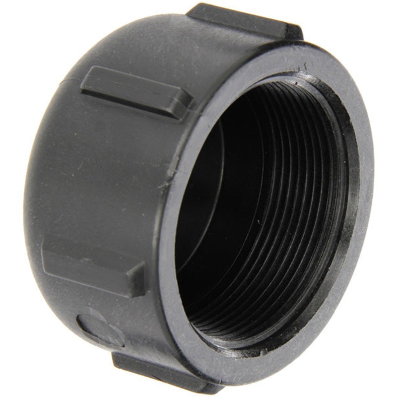 2 INCH FNPT  POLY CAP
