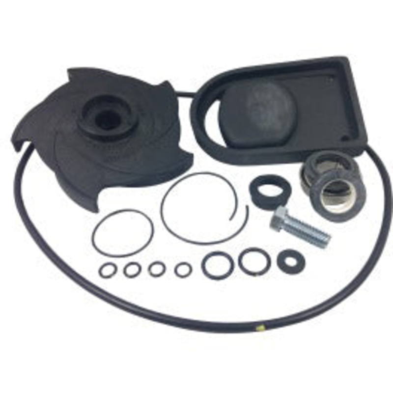 BANJO PUMP REPAIR KIT BUNA (NEW STYLE PUMP)