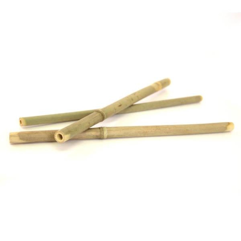 Bamboo Straws – 10 pack